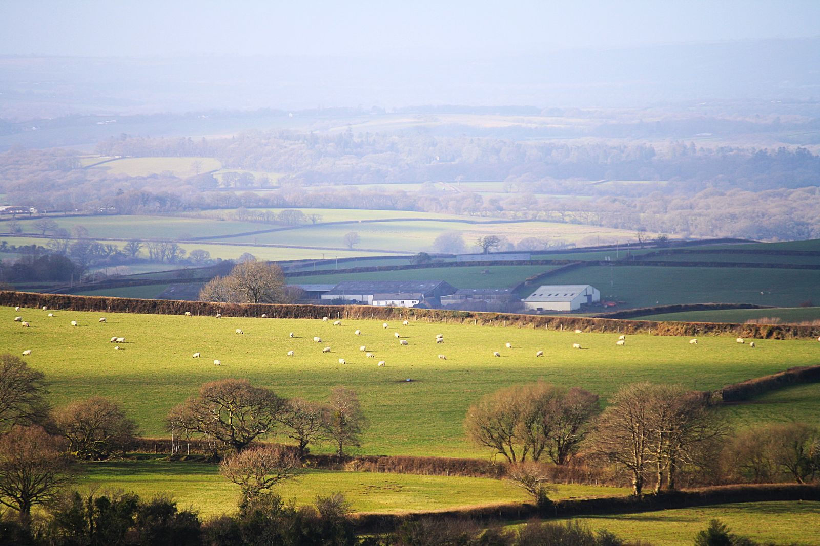 Collines de Dartmoor, Devon, Angleterre
